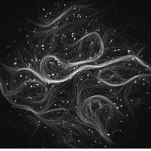 Meet your Posher, Malynda